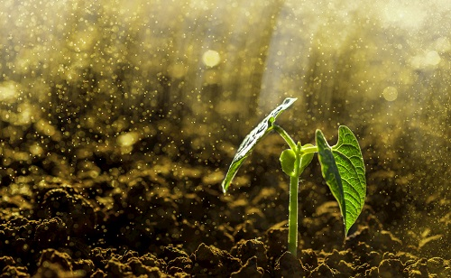 1670469245127704.png image.png