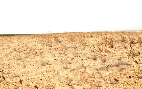 1672285398164392.png image.png