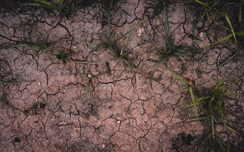 1672983089209180.png image.png