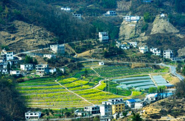 土壤墑情監(jiān)測(cè)系統(tǒng)在哪兒建站都行嗎?土壤墑情監(jiān)測(cè)系統(tǒng)的建站原則和選址要求 土壤墑情監(jiān)測(cè)系統(tǒng)在哪兒建站都行嗎?土壤墑情監(jiān)測(cè)系統(tǒng)的建站原則和選址要求