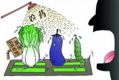 農(nóng)藥殘留快速檢測(cè)儀保障農(nóng)產(chǎn)品安全 農(nóng)藥殘留快速檢測(cè)儀保障農(nóng)產(chǎn)品安全