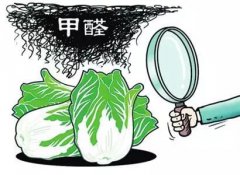 食品甲醛檢測(cè)儀在食品安全檢測(cè)中的應(yīng)用 食品甲醛檢測(cè)儀在食品安全檢測(cè)中的應(yīng)用