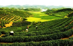 農(nóng)產(chǎn)品農(nóng)藥殘留快速檢測(cè)設(shè)備農(nóng)殘檢測(cè) 農(nóng)產(chǎn)品農(nóng)藥殘留快速檢測(cè)設(shè)備農(nóng)殘檢測(cè)