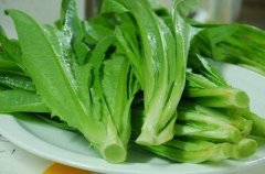 蔬菜農藥檢測儀哪里買 蔬菜農藥檢測儀哪里買