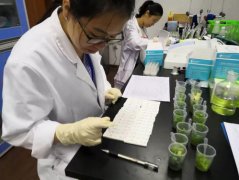 果蔬農(nóng)殘檢測(cè)儀哪家好 果蔬農(nóng)殘檢測(cè)儀哪家好