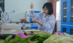 蔬菜農(nóng)藥殘留快速檢測儀器哪個(gè)準(zhǔn)確 蔬菜農(nóng)藥殘留快速檢測儀器哪個(gè)準(zhǔn)確