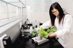 農殘快速檢測儀的使用過程 農殘快速檢測儀的使用過程